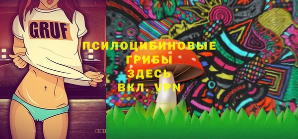 ПСИЛОЦИБИНОВЫЕ ГРИБЫ Армянск
