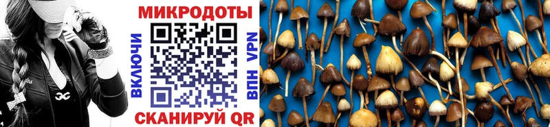 где продают   Вязьма  гидра зеркало  Галлюциногенные грибы Cubensis 